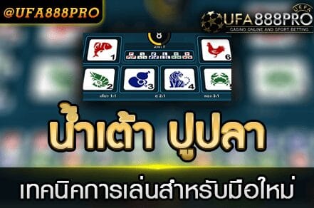 น้ำเต้าปูปลา