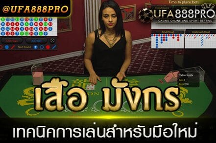 เล่นเสือมังกร